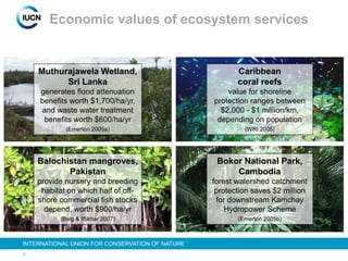 5
INTERNATIONAL UNION FOR CONSERVATION OF NATURE
Economic values of ecosystem services
Muthurajawela Wetland,
Sri Lanka
generates flood attenuation
benefits worth $1,700/ha/yr,
and waste water treatment
benefits worth $600/ha/yr
(Emerton 2005a)
Balochistan mangroves,
Pakistan
provide nursery and breeding
habitat on which half of off-
shore commercial fish stocks
depend, worth $900/ha/yr
(Baig & Iftikhar 2007)
Caribbean
coral reefs
value for shoreline
protection ranges between
$2,000 - $1 million/km,
depending on population
(WRI 2005)
Bokor National Park,
Cambodia
forest watershed catchment
protection saves $2 million
for downstream Kamchay
Hydropower Scheme
(Emerton 2005b)
 