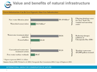 6
INTERNATIONAL UNION FOR CONSERVATION OF NATURE
Value and benefits of natural infrastructure
 