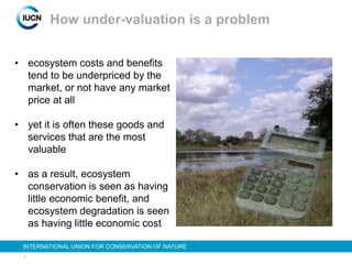 7
INTERNATIONAL UNION FOR CONSERVATION OF NATURE
• ecosystem costs and benefits
tend to be underpriced by the
market, or not have any market
price at all
• yet it is often these goods and
services that are the most
valuable
• as a result, ecosystem
conservation is seen as having
little economic benefit, and
ecosystem degradation is seen
as having little economic cost
How under-valuation is a problem
 