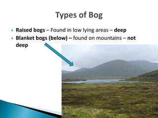  Raised bogs – Found in low lying areas – deep
 Blanket bogs (below) – found on mountains – not
deep
 