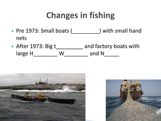  Pre 1973: Small boats (_________) with small hand
nets
 After 1973: Big t_________ and factory boats with
large H________ W________ and N_____
 