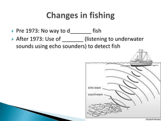  Pre 1973: No way to d_______ fish
 After 1973: Use of _______ (listening to underwater
sounds using echo sounders) to detect fish
 