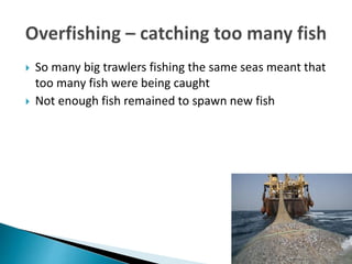  So many big trawlers fishing the same seas meant that
too many fish were being caught
 Not enough fish remained to spawn new fish
 
