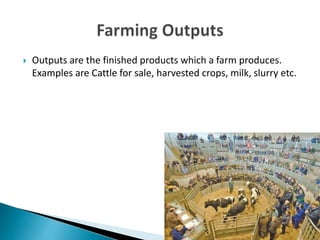  Outputs are the finished products which a farm produces.
Examples are Cattle for sale, harvested crops, milk, slurry etc.
 