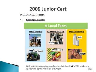 Economic Activities for the Junior Certicate