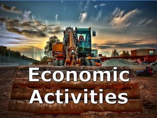 Actividades económicas
1
 