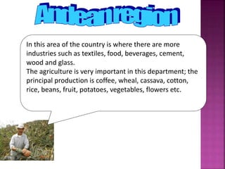 In this area of the country is where there are more
industries such as textiles, food, beverages, cement,
wood and glass.
The agriculture is very important in this department; the
principal production is coffee, wheal, cassava, cotton,
rice, beans, fruit, potatoes, vegetables, flowers etc.
 