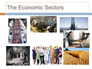 The Economic Sectors
 