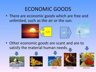 ECONOMIC GOODS AIR SUN 