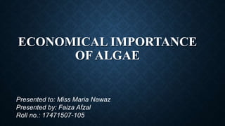 ECONOMICAL IMPORTANCE
OF ALGAE
Presented to: Miss Maria Nawaz
Presented by: Faiza Afzal
Roll no.: 17471507-105
 