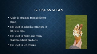 12. USE AS ALGIN
• Algin is obtained from different
algae.
• It is used in adhesive structure in
artificial silk.
• It is ...
