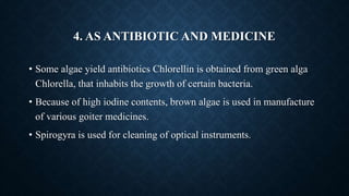 4. AS ANTIBIOTIC AND MEDICINE
• Some algae yield antibiotics Chlorellin is obtained from green alga
Chlorella, that inhabi...