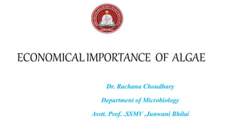 ECONOMICALIMPORTANCE OF ALGAE
Dr. Rachana Choudhary
Department of Microbiology
Asstt. Prof. .SSMV ,Junwani Bhilai
 