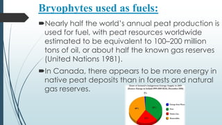 Bryophytes used as fuels:
Nearly half the world’s annual peat production is
 used for fuel, with peat resources worldwide
 estimated to be equivalent to 100–200 million
 tons of oil, or about half the known gas reserves
 (United Nations 1981).
In Canada, there appears to be more energy in
 native peat deposits than in forests and natural
 gas reserves.
 