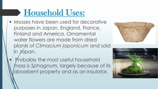 Household Uses:
 Mosses have been used for decorative
  purposes in Japan, England, France,
  Finland and America. Ornamental
  water flowers are made from dried
  plants of Climacium japonicum and sold
  in Japan.
 Probably the most useful household
  moss is Sphagnum, largely because of its
  absorbent property and as an insulator.
 