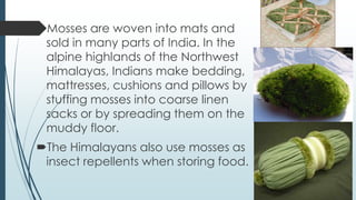Mosses are woven into mats and
 sold in many parts of India. In the
 alpine highlands of the Northwest
 Himalayas, Indians make bedding,
 mattresses, cushions and pillows by
 stuffing mosses into coarse linen
 sacks or by spreading them on the
 muddy floor.
The Himalayans also use mosses as
 insect repellents when storing food.
 