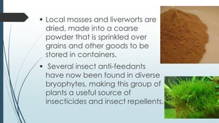  Local mosses and liverworts are
  dried, made into a coarse
  powder that is sprinkled over
  grains and other goods to be
  stored in containers.
 Several insect anti-feedants
  have now been found in diverse
  bryophytes, making this group of
  plants a useful source of
  insecticides and insect repellents.
 