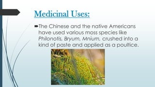 Medicinal Uses:
The Chinese and the native Americans
 have used various moss species like
 Philonotis, Bryum, Mnium, crushed into a
 kind of paste and applied as a poultice.
 