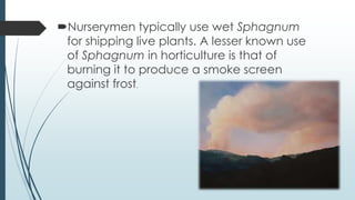 Nurserymen typically use wet Sphagnum
 for shipping live plants. A lesser known use
 of Sphagnum in horticulture is that of
 burning it to produce a smoke screen
 against frost.
 