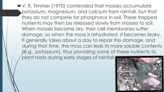 V. R. Timmer (1970) contended that mosses accumulate
 potassium, magnesium, and calcium from rainfall, but that
 they do not compete for phosphorus in soil. These trapped
 nutrients may then be released slowly from mosses to soil.
 When mosses become dry, their cell membranes suffer
 damage, so when the moss is rehydrated, it becomes leaky.
 It generally takes about a day to repair this damage, and
 during that time, the moss can leak its more soluble contents
 (e.g., potassium), thus providing some of these nutrients to
 plant roots during early stages of rainfall
 