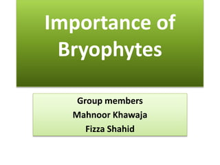 Importance of
 Bryophytes

   Group members
  Mahnoor Khawaja
     Fizza Shahid
 