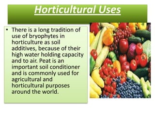 Horticultural Uses
• There is a long tradition of
  use of bryophytes in
  horticulture as soil
  additives, because of their
  high water holding capacity
  and to air. Peat is an
  important soil conditioner
  and is commonly used for
  agricultural and
  horticultural purposes
  around the world.
 