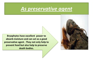 As preservative agent



  Bryophytes have excellent power to
 absorb moisture and can act as a good
preservative agent . They not only help to
 prevent food but also help to preserve
              death bodies.
 