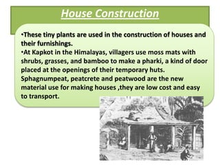 House Construction
•These tiny plants are used in the construction of houses and
their furnishings.
•At Kapkot in the Himalayas, villagers use moss mats with
shrubs, grasses, and bamboo to make a pharki, a kind of door
placed at the openings of their temporary huts.
Sphagnumpeat, peatcrete and peatwood are the new
material use for making houses ,they are low cost and easy
to transport.
 
