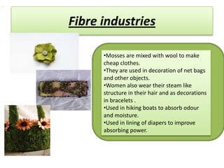 .



    Fibre industries

          •Mosses are mixed with wool to make
          cheap clothes.
          •They are used in decoration of net bags
          and other objects.
          •Women also wear their steam like
          structure in their hair and as decorations
          in bracelets .
          •Used in hiking boats to absorb odour
          and moisture.
          •Used in lining of diapers to improve
          absorbing power.
 