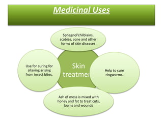 Medicinal Uses

                         Sphagnol’chilblains,
                       scabies, acne and other
                        forms of skin diseases




Use for curing for
  allaying arising
                            Skin                     Help to cure
from insect bites.       treatment                   ringworms.




                       Ash of moss is mixed with
                      honey and fat to treat cuts,
                          burns and wounds
 