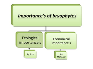 Importance's of bryophytes



  Ecological    Economical
importance's   importance's


    By Fizza        By
                  Mahnoor
 