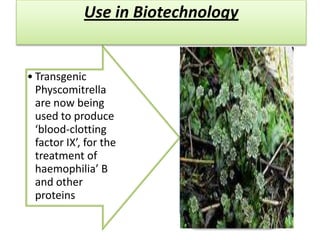 Use in Biotechnology


• Transgenic
  Physcomitrella
  are now being
  used to produce
  ‘blood-clotting
  factor IX’, for the
  treatment of
  haemophilia’ B
  and other
  proteins
 