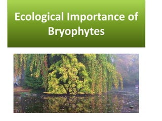 Ecological Importance of
      Bryophytes
 