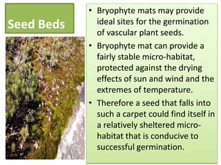 • Bryophyte mats may provide
Seed Beds     ideal sites for the germination
              of vascular plant seeds.
            • Bryophyte mat can provide a
              fairly stable micro-habitat,
              protected against the drying
              effects of sun and wind and the
              extremes of temperature.
            • Therefore a seed that falls into
              such a carpet could find itself in
              a relatively sheltered micro-
              habitat that is conducive to
              successful germination.
 