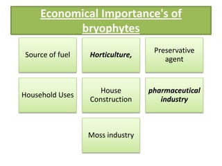 Economical Importance's of
           bryophytes
                                  Preservative
Source of fuel   Horticulture,
                                     agent


                    House        pharmaceutical
Household Uses
                 Construction       industry



                 Moss industry
 