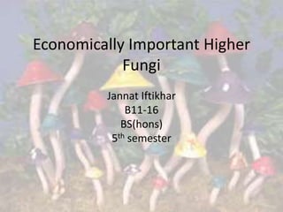 Economically Important Higher
Fungi
Jannat Iftikhar
B11-16
BS(hons)
5th semester

 