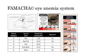 FAMACHA© eye anemia system
Clinical
Category
Eye Lid
Color
Packed Cell
Volume/PCV
Deworm?
1 Red > 28 No
2 Red-Pink 23-27 N...