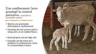 Use confinement (zero
grazing) to control
parasites, especially in
susceptible animals
• Worms are practically
eliminated ...