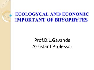 ECOLOGYCAL AND ECONOMIC
IMPORTANT OF BRYOPHYTES
Prof.D.L.Gavande
Assistant Professor
 