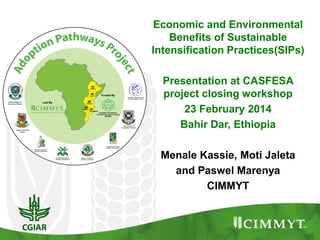 Economic and Environmental
Benefits of Sustainable
Intensification Practices(SIPs)
Presentation at CASFESA
project closing workshop
23 February 2014
Bahir Dar, Ethiopia
Menale Kassie, Moti Jaleta
and Paswel Marenya
CIMMYT
 
