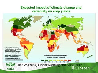 Expected impact of climate change and
variability on crop yields
Cline W, (2007) Global Warming and Agriculture
 