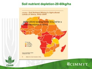 Soil nutrient depletion-20-60kg/ha
AGRA (2014) Seeking Fertile Ground for a
Green Revolution in Africa
 