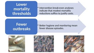 Modesty Failure ECONOMIC BENEFITS OF INVESTMENT IN DISEASE MANAGEMENT IN.pptx