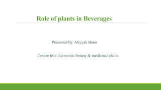 Role of plants in Beverages
Presented by: Atiyyah Bano
Course title: Economic botany & medicinal plants
 