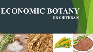 ECONOMIC BOTANY
DR CHITHRA M
 