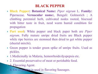  Black Pepper: Botanical Name: Piper nigrum L. Family:
Piperaceae. Vernacular name:, Bengali: Golmorich ; A
climbing perennial herb, cultivated nodes rooted, bisexual
with bitter taste in fruit, need warm humid condition for
propagation
 Part used: White pepper and black paper both are Piper
nigrum. Fully mature unripe dried fruits are Black pepper
while ripe berries are stemmed then dried to get white pepper
(sheetal mirchi).
 Green pepper is tender green spike of unripe fruits. Used as
pickles.
 1.Medicinally in Malaria, hemorrhoids/dyspepsia etc.
 2. Essential preservative of meat or perishable food.
 3. Flavoring Agent.
 4. Oil of pepper is used in flavoring Sausages.
 
