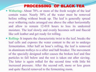 PROCESSING OF BLACK TEA
 Withering- About 70% or more of the fresh weight of the leaf
contain water. Nearly 50% of the water must be removed
before rolling without break up. The leaf is generally spread
over withering racks arranged one above the other horizontally
and allow to remain 12-018 hours to loss its undesired
moisture. The leaf slowly and evenly becomes soft and flaccid
like soft leather and get ready for rolling.
 Rolling- It imparts the characteristic twist to the leaf, breaks the
leaf cells and exposes the water content to the air to undergo
fermentation. After half an hour’s rolling, the leaf is removed
in aluminum trolleys to a sifter and ball breaker. The movement
of the specially designed roller causes the broken leaf and fine
particles to fall below and the rest is taken out after sieving.
The latter is again rolled for the second time with little bit
increased pressure. After the second roll, more or less green
and quite flaccid removed to the fermenting room.
 