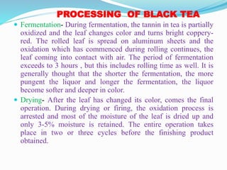 PROCESSING OF BLACK TEA
 Fermentation- During fermentation, the tannin in tea is partially
oxidized and the leaf changes color and turns bright coppery-
red. The rolled leaf is spread on aluminum sheets and the
oxidation which has commenced during rolling continues, the
leaf coming into contact with air. The period of fermentation
exceeds to 3 hours , but this includes rolling time as well. It is
generally thought that the shorter the fermentation, the more
pungent the liquor and longer the fermentation, the liquor
become softer and deeper in color.
 Drying- After the leaf has changed its color, comes the final
operation. During drying or firing, the oxidation process is
arrested and most of the moisture of the leaf is dried up and
only 3-5% moisture is retained. The entire operation takes
place in two or three cycles before the finishing product
obtained.
 