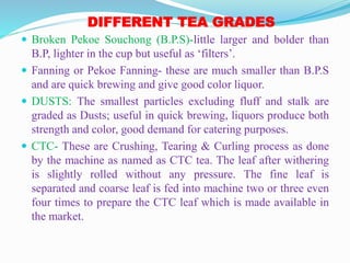 DIFFERENT TEA GRADES
 Broken Pekoe Souchong (B.P.S)-little larger and bolder than
B.P, lighter in the cup but useful as ‘filters’.
 Fanning or Pekoe Fanning- these are much smaller than B.P.S
and are quick brewing and give good color liquor.
 DUSTS: The smallest particles excluding fluff and stalk are
graded as Dusts; useful in quick brewing, liquors produce both
strength and color, good demand for catering purposes.
 CTC- These are Crushing, Tearing & Curling process as done
by the machine as named as CTC tea. The leaf after withering
is slightly rolled without any pressure. The fine leaf is
separated and coarse leaf is fed into machine two or three even
four times to prepare the CTC leaf which is made available in
the market.
 