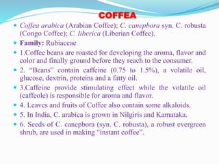 COFFEA
 Coffea arabica (Arabian Coffee); C. canepbora syn. C. robusta
(Congo Coffee); C. liberica (Liberian Coffee).
 Family: Rubiaceae
 1.Coffee beans are roasted for developing the aroma, flavor and
color and finally ground before they reach to the consumer.
 2. “Beans” contain caffeine (0.75 to 1.5%), a volatile oil,
glucose, dextrin, proteins and a fatty oil.
 3.Caffeine provide stimulating effect while the volatile oil
(caffeole) is responsible for aroma and flavor.
 4. Leaves and fruits of Coffee also contain some alkaloids.
 5. In India, C. arabica is grown in Nilgiris and Kamataka.
 6. Seeds of C. canepbora (syn. C. robusta), a robust evergreen
shrub, are used in making “instant coffee”.
 